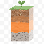 泥土土层生长植物