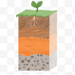 泥土植物图片_泥土土层生长植物