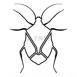 错误的标志图片_Bug Bedbug Chinch True bug Hemipterans 昆虫