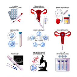 妊娠哺乳期图片_独立平板体外受精图标集与受精妊