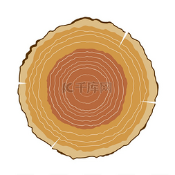 切割元素图片_带有生长环的圆形切割木材的矢量
