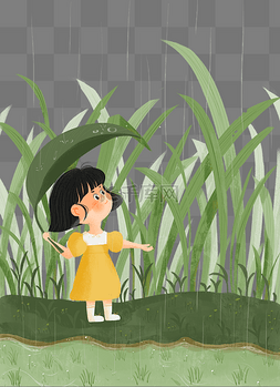 草地雨水图片_谷雨春天植物