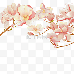 白的玉兰花图片_春季植物玉兰花