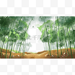 竹林夏季景色