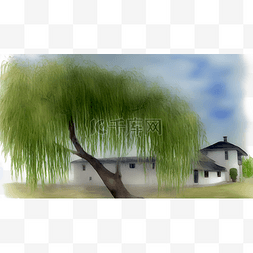 云房子图片_屋前的柳树