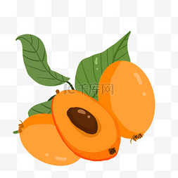 新鲜橙汁水果汁图片_新鲜水果枇杷