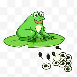 青蛙笑蝌蚪图片_卵生动物卵青蛙蝌蚪孵化