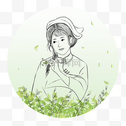 春茶节茶图片_线描采茶采摘茶叶人物