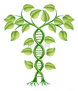 生物遗传图片_dna 植物概念