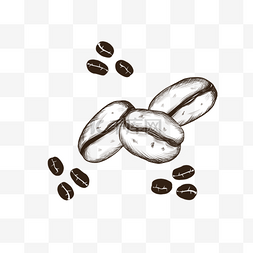 素描线条复古咖啡豆