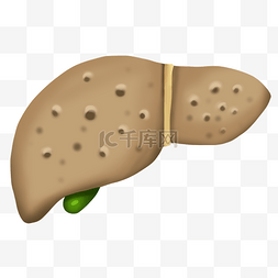人体器官肝脏图片_肝硬化肝癌人体器官内脏医疗健康