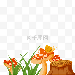 菌类植物图片_春天春季植物蘑菇