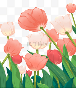 春暖花海图片_粉色郁金香花海花朵
