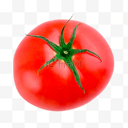 番茄植物饮食蔬菜
