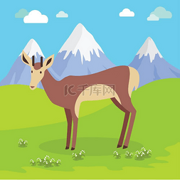 动物在自然中的图片_年轻的休耕鹿雄性有角在后面是雪