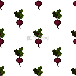 新鲜的蔬菜图图片_有机甜菜与绿叶和小根孤立的矢量