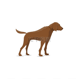 驱逐猎犬图片_狗孤立的矢量图标。