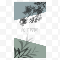 白色边框阴影图片_植物阴影叠加instagram故事边框