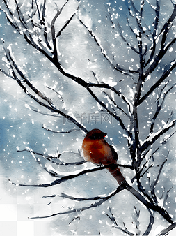 大雪中的小鸟