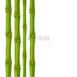 自然竹图片_与绿色竹茎的无缝模式。