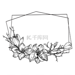 木兰花手绘图片_带有木兰花、叶子和枝条的框架