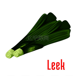 韭菜蔬菜植物图标一束束韭菜茎用