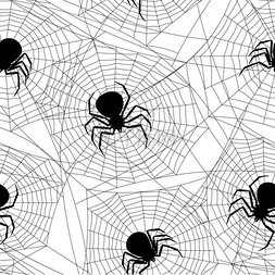 与黑寡妇蜘蛛的无缝模式。