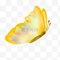 黄色水彩画水彩蝴蝶