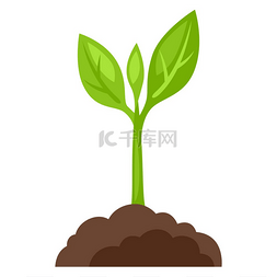 植物地面图片_生长在地面的新芽植物的例证。