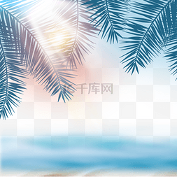 海洋边图片_阳光照射棕榈叶海水边框