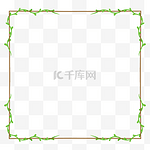 春季春天绿色植物藤蔓叶子边框