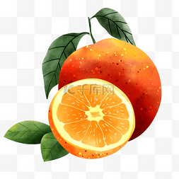 带叶子的橘子图片_橘子水彩风格水果带叶子