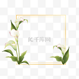 婚礼马蹄莲方形水彩花卉边框