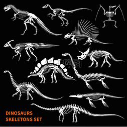 恐龙PNG矢量图图片_恐龙骨架孤立的图标设置在黑板风