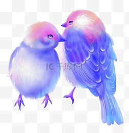 紫色小鸟图片_梦幻果冻色情侣小鸟