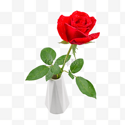 红色玫瑰花瓶图片_美丽红色玫瑰