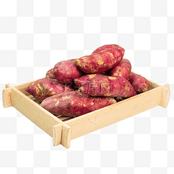 番薯红薯