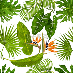 热带树叶图案无缝纹理带有丛林树