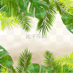 沙滩树木图片_夏季绿色植物沙滩热带绿植