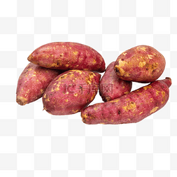 番薯红薯