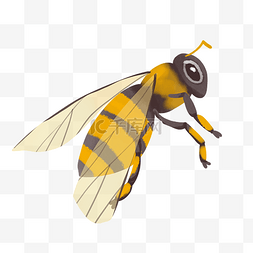 黄色蜜蜂昆虫