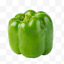 新鲜绿色有机蔬菜青椒