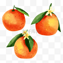 橘子水彩风格水果组合