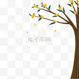 中秋节植物桂花树