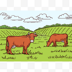 手绘矢量乡村图片_乡村风景。奶牛在草地上吃草.手