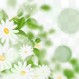 春天水灵灵的花朵光效花卉边框