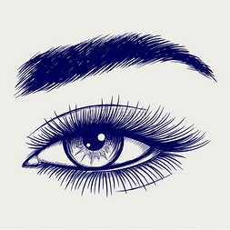 美丽的女性眼睛的钢笔素描。