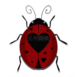 瓢虫设计图片_翅膀上有心形斑点的瓢虫媒介瓢虫