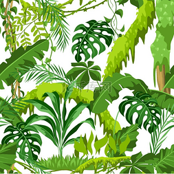 热带雨林棕榈图片_与丛林植物的无缝模式。