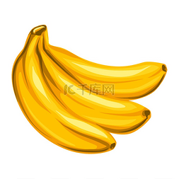 香蕉的程式化插图。